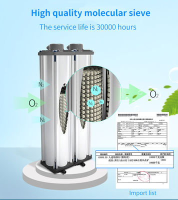 Hastane ve Ev Kullanımı Oksijen Konsantratörü Taşınabilir 5L Oksijen Jeneratörü